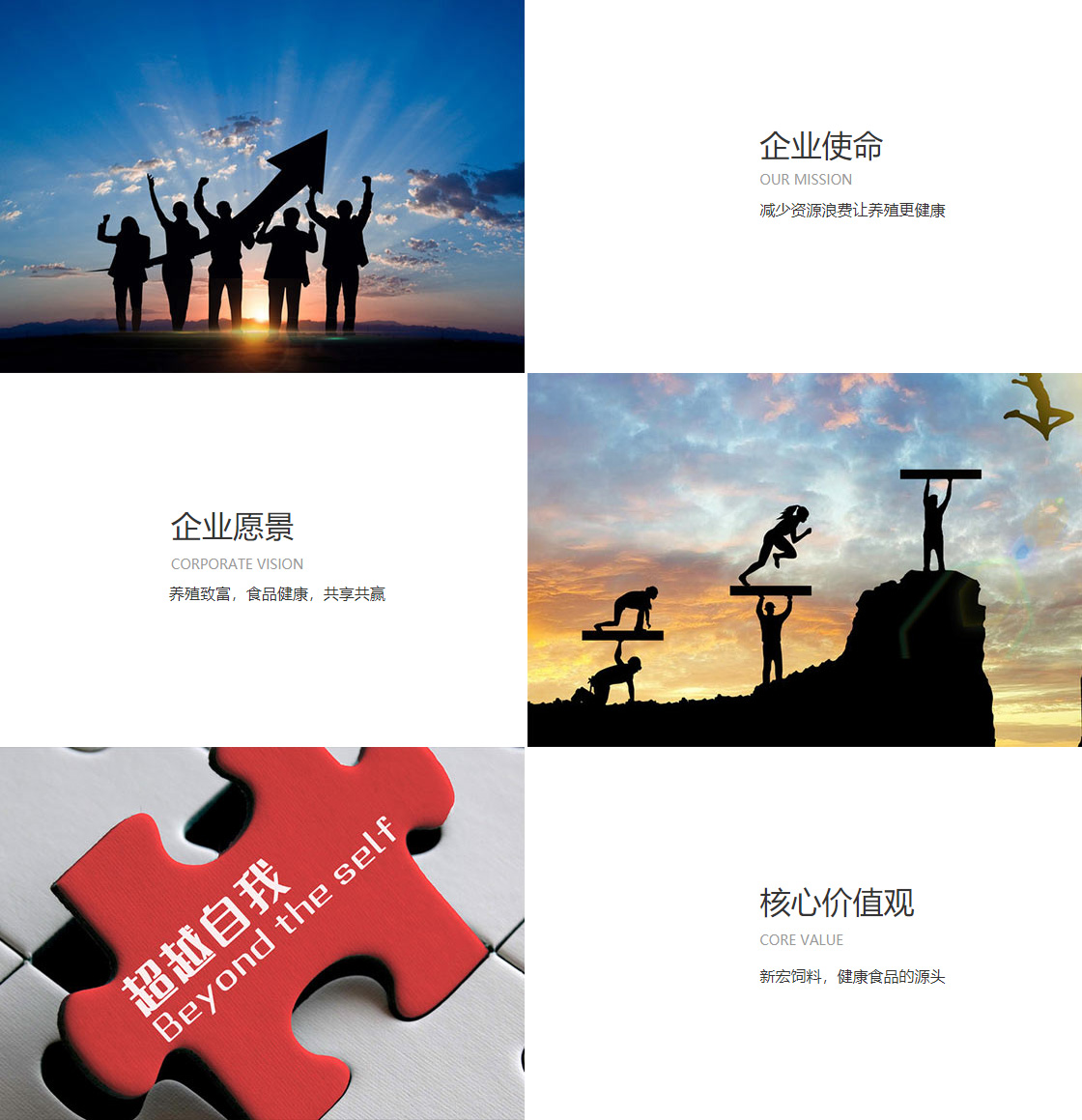 FB体育(中国)股份有限公司(图1)
